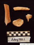 L_V20d5031 A16q142.1 R820 lR ta human bones in q-lot